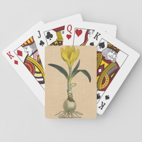 Amaryllis Tulip Botanical Garden Flower Poker Cards