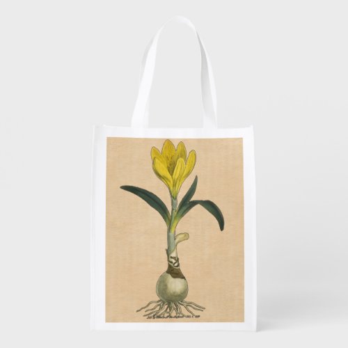 Amaryllis Tulip Botanical Garden Flower Reusable Grocery Bag