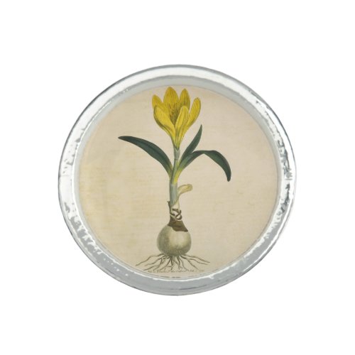 Amaryllis Tulip Botanical Garden Flower Ring