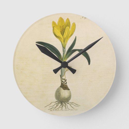 Amaryllis Tulip Botanical Garden Flower Round Clock