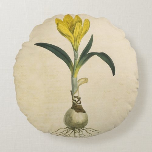 Amaryllis Tulip Botanical Garden Flower Round Pillow