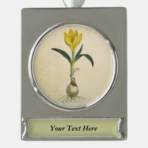 Amaryllis Tulip Botanical Garden Flower Silver Plated Banner Ornament
