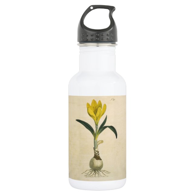 Amaryllis Tulip Botanical Garden Flower Stainless Steel Water Bottle (Front)