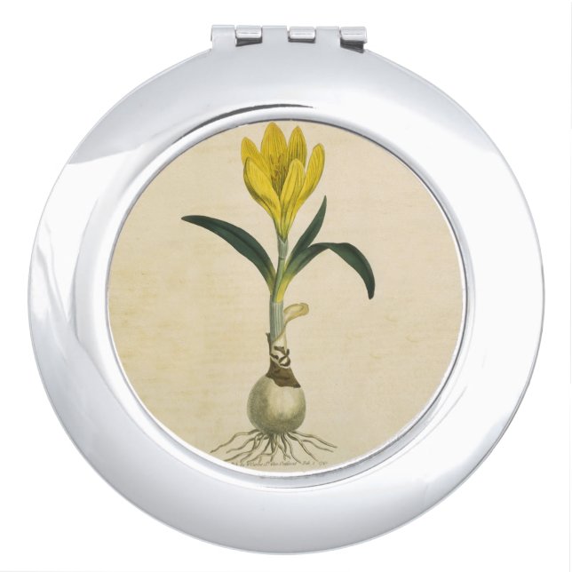 Amaryllis Tulip Botanical Garden Flower Vanity Mirror (Front)