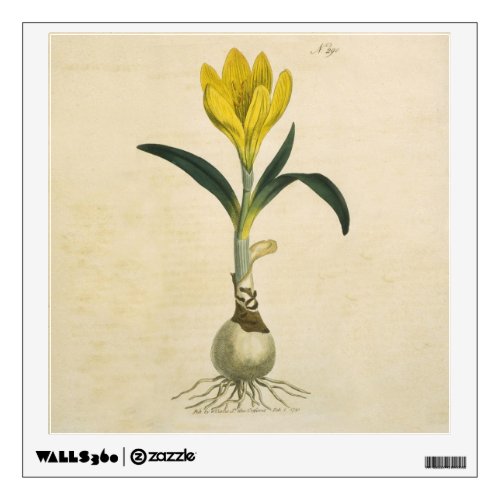 Amaryllis Tulip Botanical Garden Flower Wall Sticker