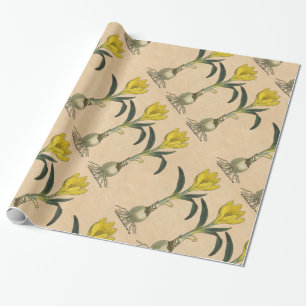 Amaryllis Tulip Botanical Garden Flower Wrapping Paper
