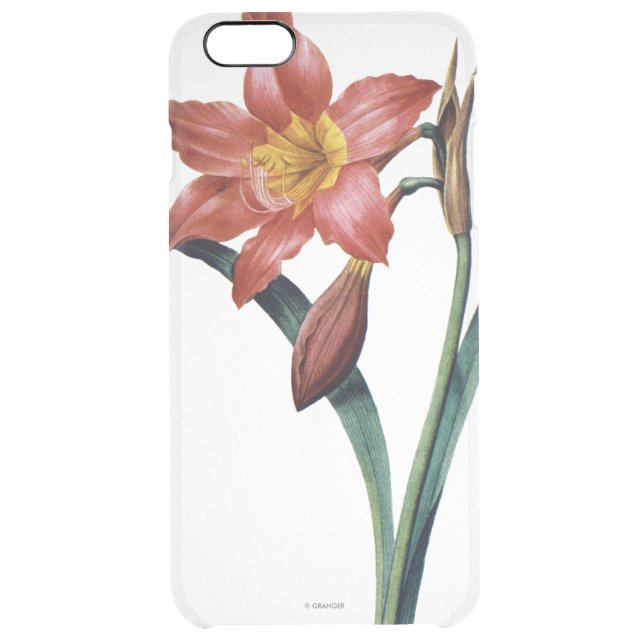 Amaryllis Uncommon iPhone Case (Back)
