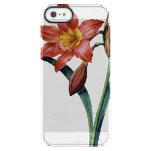 Amaryllis Clear iPhone SE/5/5s Case