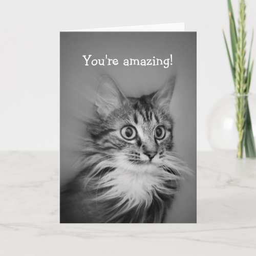 Amazed Cat With Neck Ruff Happy Birthday Card