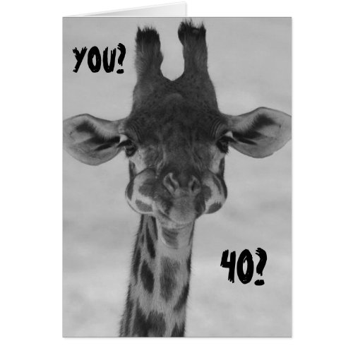 AMAZED GIRAFFE SAYS YOU 40