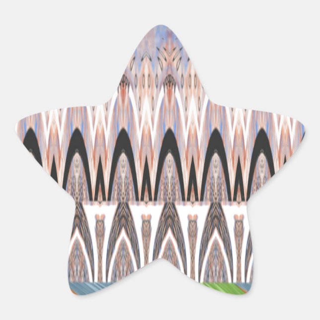 Amazing Abstract Pattern Art Print Star Sticker (Front)