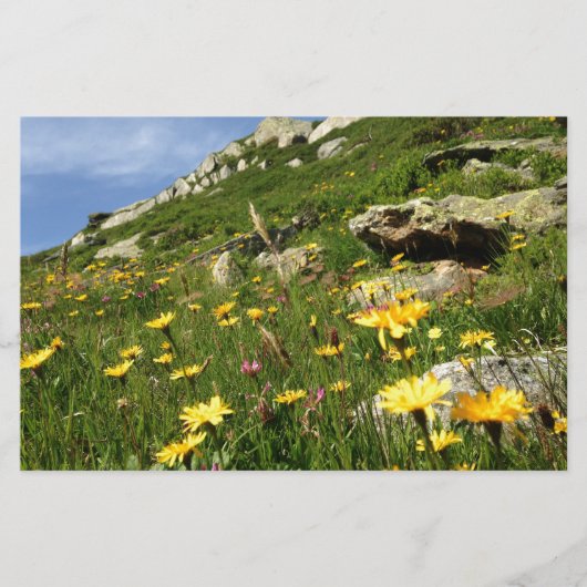 Amazing! Alpine flowers (Front)