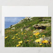 Amazing! Alpine flowers (Front/Back)