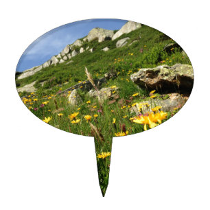 Amazing! Alpine flowers Cake Topper