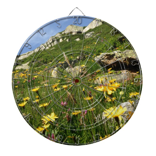 Amazing! Alpine flowers Dartboard (Front)