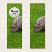 Amazing Animal Capybara (Front & Back)