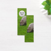 Amazing Animal Capybara (Desk)