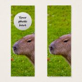 Amazing Animal Capybara (Front & Back)