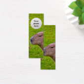 Amazing Animal Capybara (Desk)