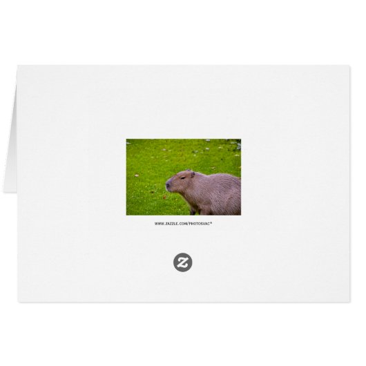 Amazing Animal Capybara (Back Horizontal)