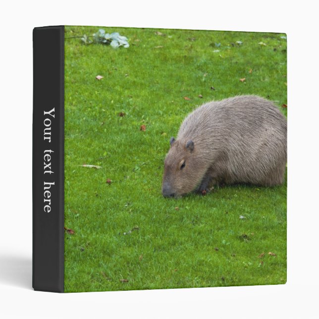 Amazing Animal Capybara Binder (Front/Spine)
