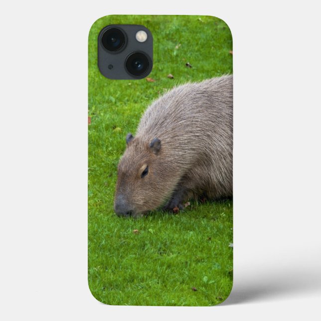 Amazing Animal Capybara Case-Mate iPhone Case (Back)