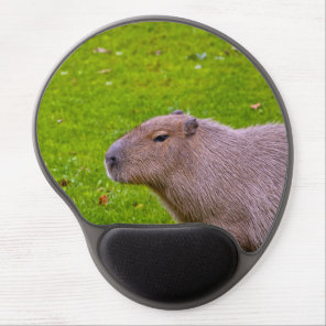 Amazing Animal Capybara Gel Mouse Pad