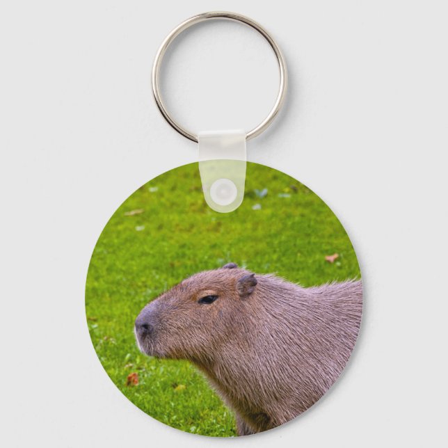 Amazing Animal Capybara Keychain (Front)