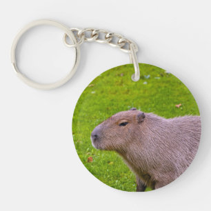 Amazing Animal Capybara Keychain
