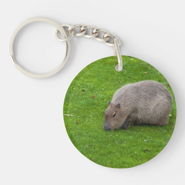 Amazing Animal Capybara Keychain (Front)
