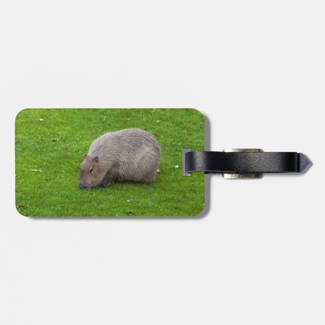 Amazing Animal Capybara Luggage Tag (Back Horizontal)