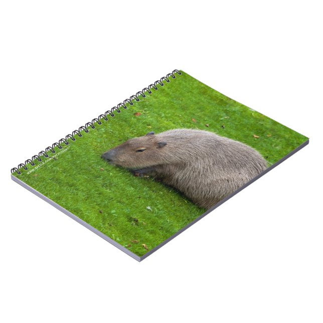 Amazing Animal Capybara Notebook (Left Side)