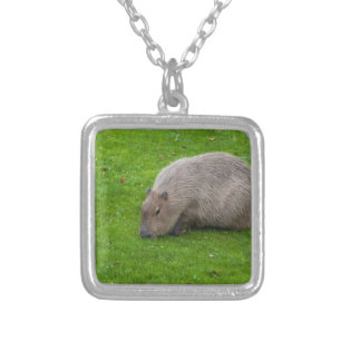 Amazing Animal Capybara Silver Plated Necklace