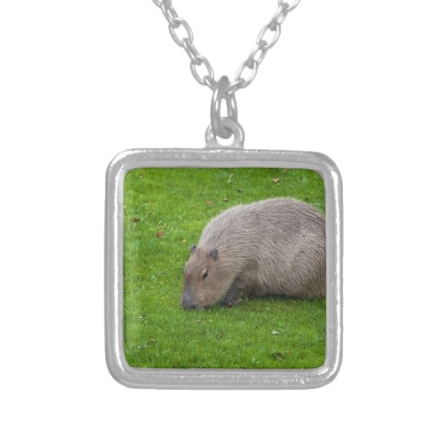 Amazing Animal Capybara Silver Plated Necklace (Front)