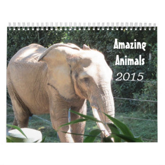 Amazing Animals 2015 Calendar