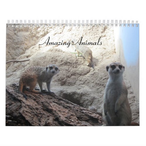 Amazing Animals Calendar