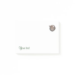 Amazing Armadillo Post-it Notes