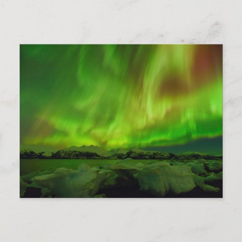 Amazing Aurora Postcard