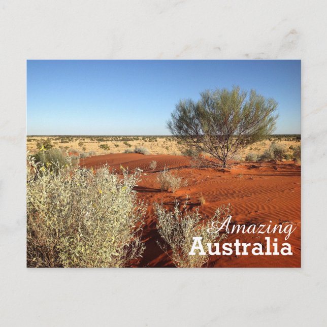 Amazing Australia postcard (Front)