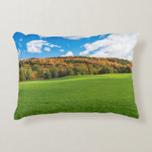 Amazing Autumn Pillow