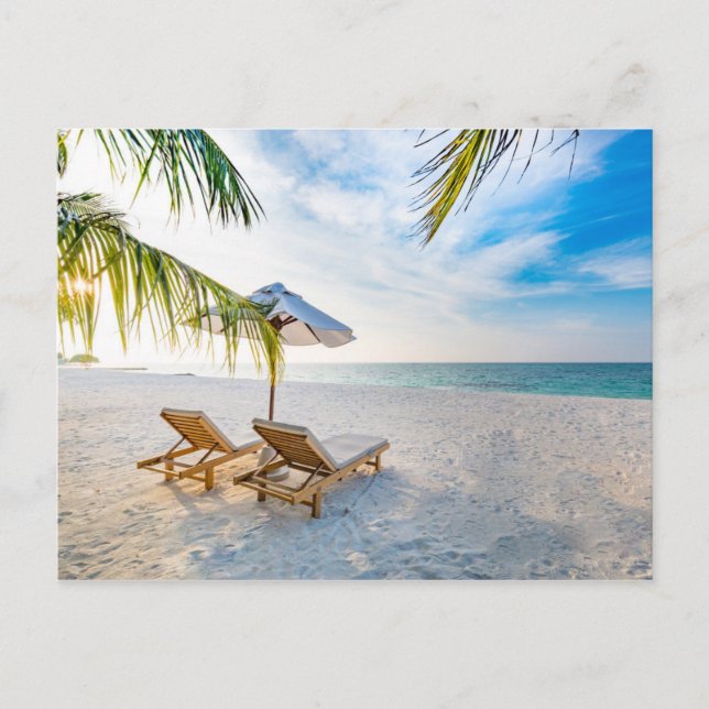 Amazing Beach Sunset Postcard (Front)