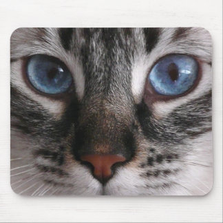 "Amazing Blue Eyes" Kitty Mouse Pad