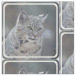 Amazing Bobcat Fabric