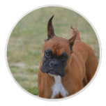 Amazing Boxer Dog Ceramic Knob