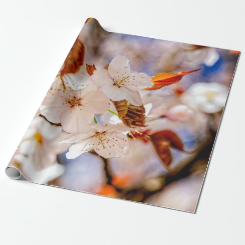 Amazing Bunch Of Sakura Flowers In Spring Wrapping Paper