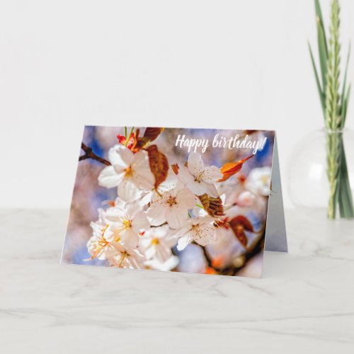 Amazing Bunch Of Sakura Flowers In Springtime Card