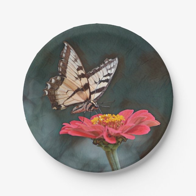 Amazing Butterfly Paper Plates (Front)
