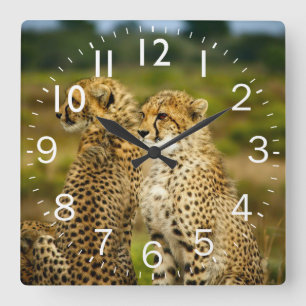 Amazing Cheetah Square Wall Clock