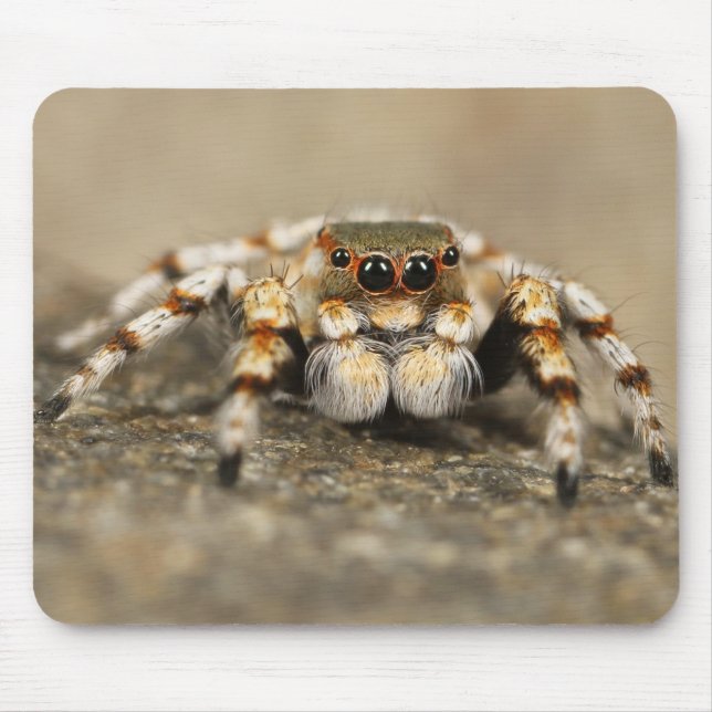 Amazing Close-Up of a Tarantula Spider Mouse Pad (Front)