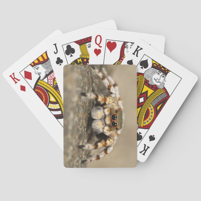 Amazing Close-Up of a Tarantula Spider Poker Cards (Back)